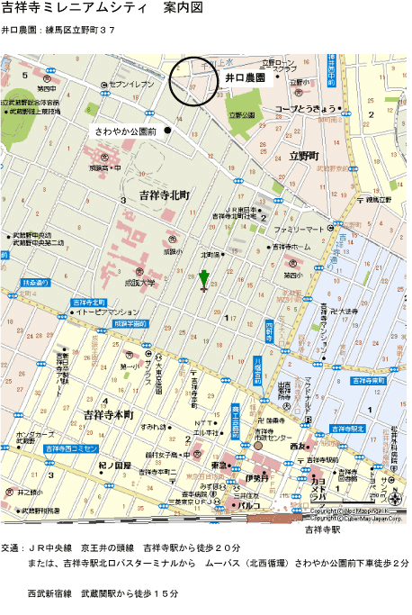 吉祥寺ミレニアムシティへの行き方